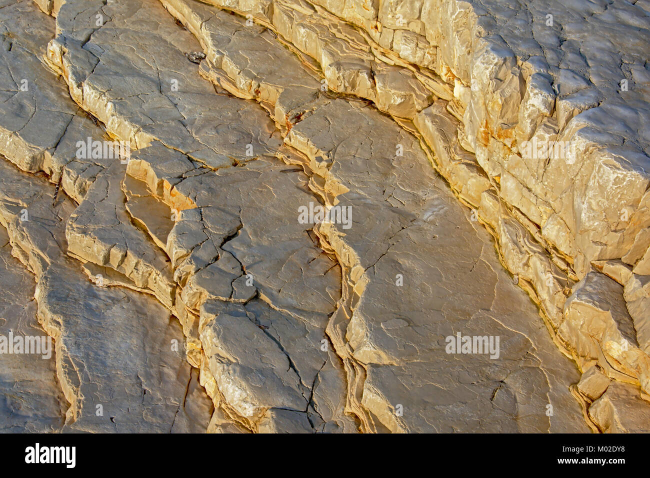 White Flaky Rocks White volcanic stone texture with cracks, found on the beach of Mali ...