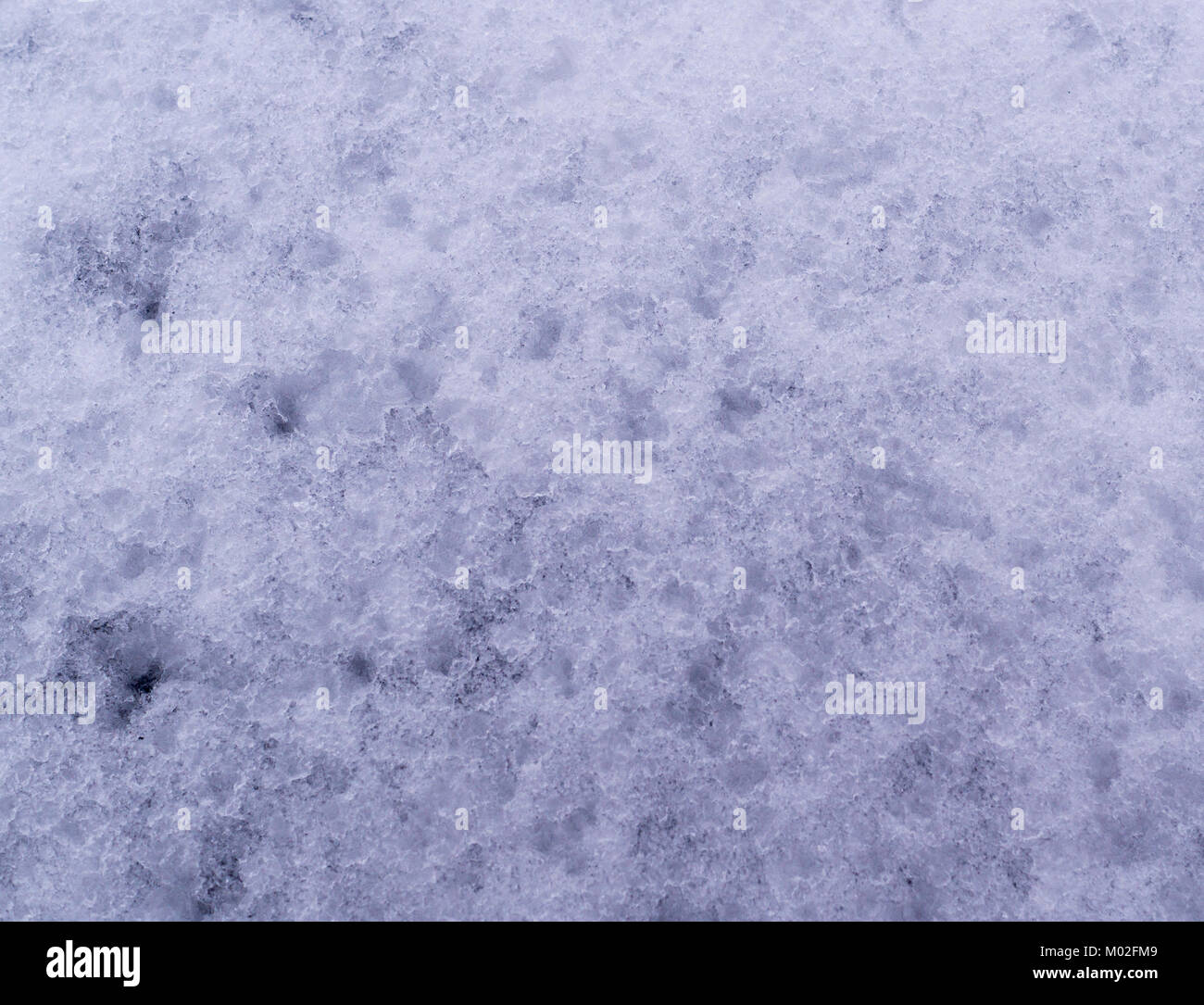 Snow Texture Background Snow Sparkle Background Stock Photo 543745993