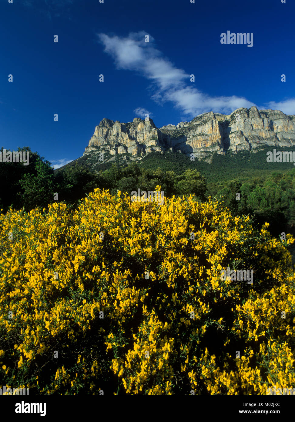 Europa en la primavera hi-res stock photography and images - Alamy