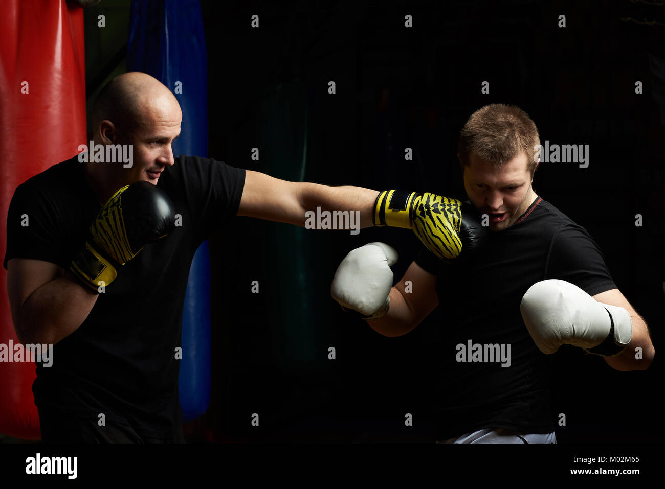 Boxing knockout concept. Two young man practicing boxing fight Stock Photo