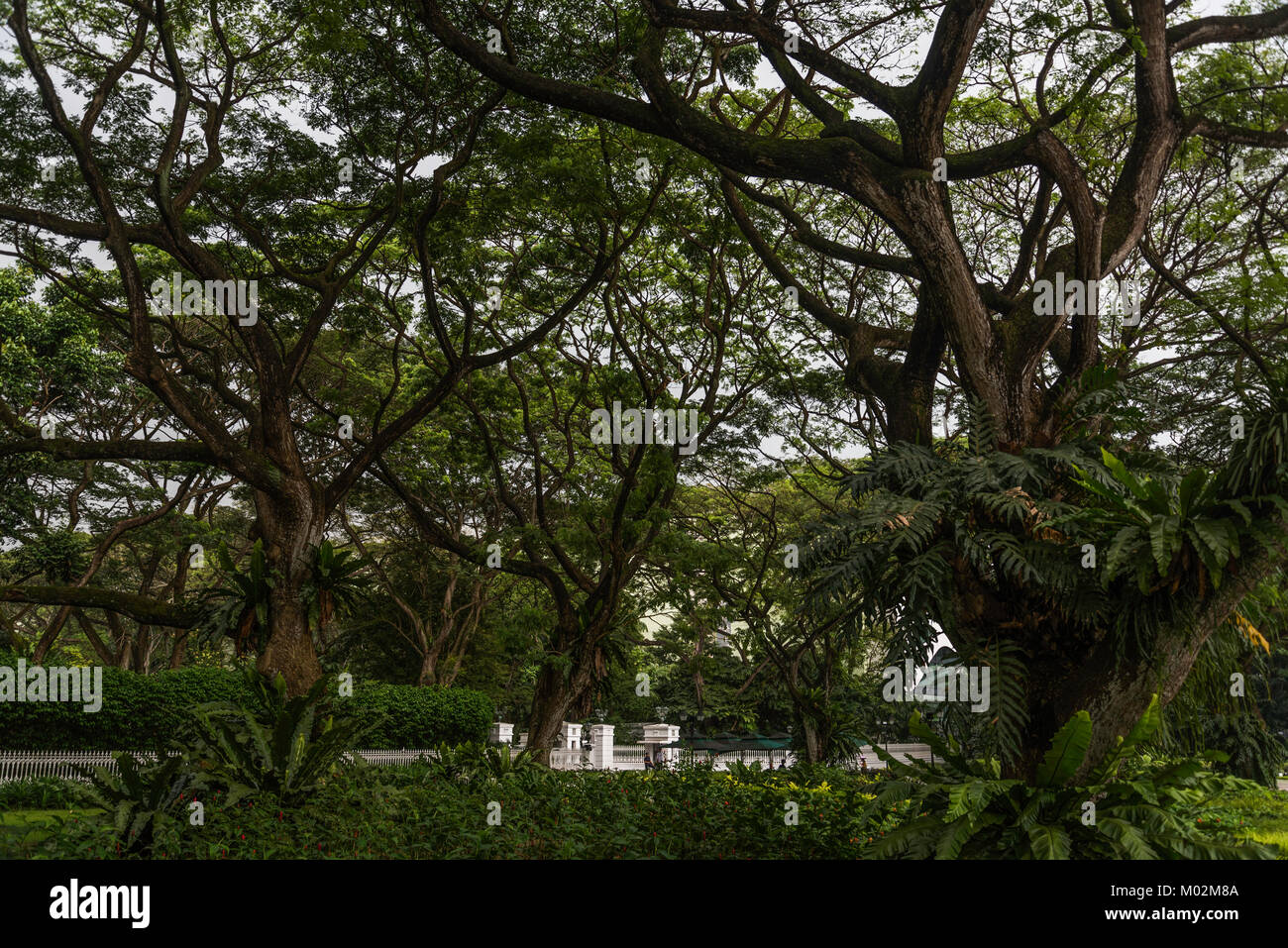 on Orchard Street, Singapore Stock Photo