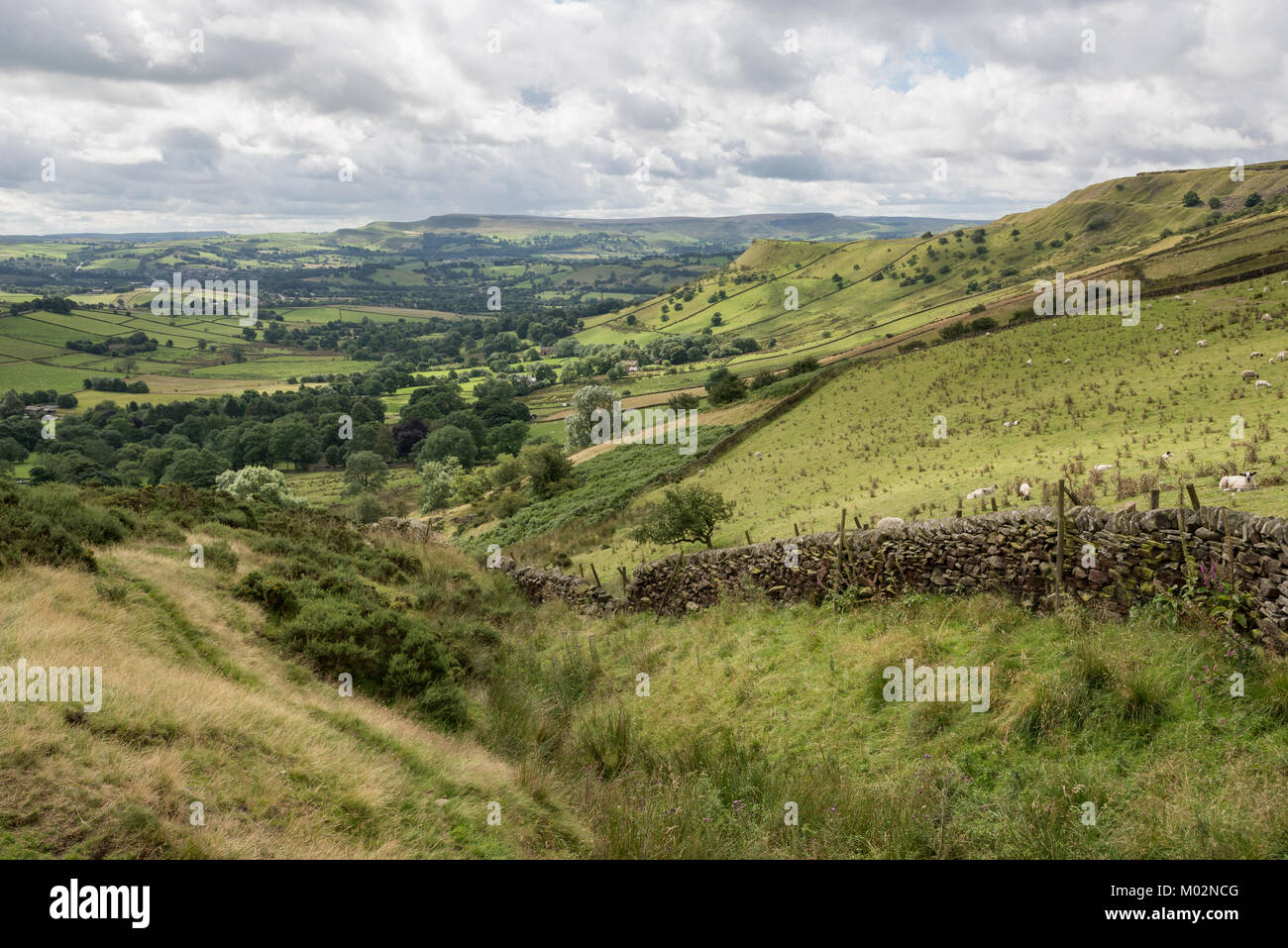 Beautiful green countryside near Chinley in the High Peak area of Derbyshire, England on a sunny summer day. Stock Photo