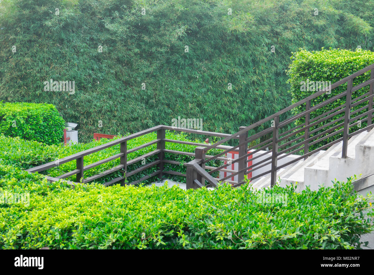 Stair modern design in full plant and tree Stock Photo
