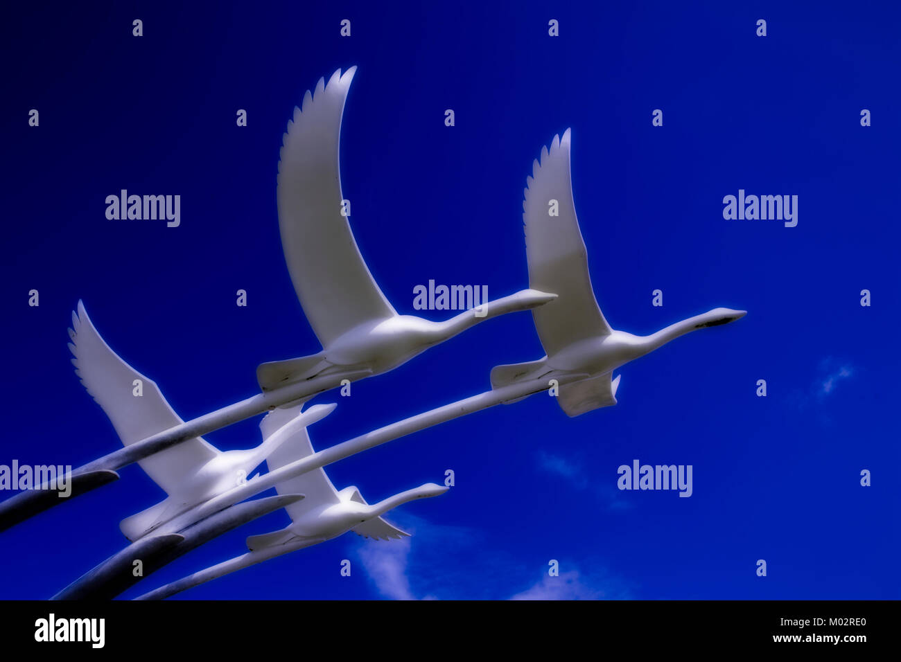 Flying swan sculpture at Ballycastle, Northern Ireland Stock Photo