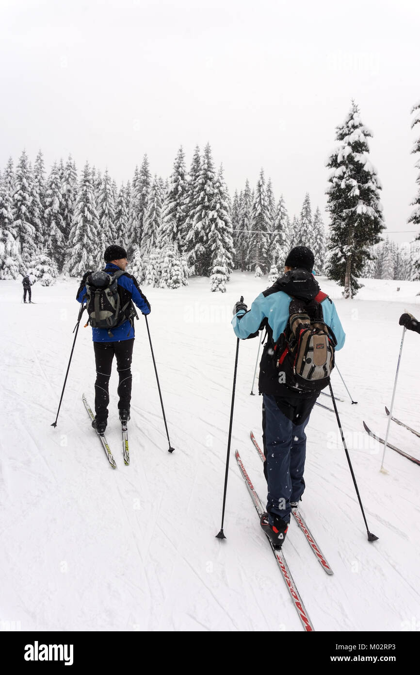 Two skiers on a cross-country tour in snowy weather. Giant Mountains, Karkonosze, Poland. Stock Photo