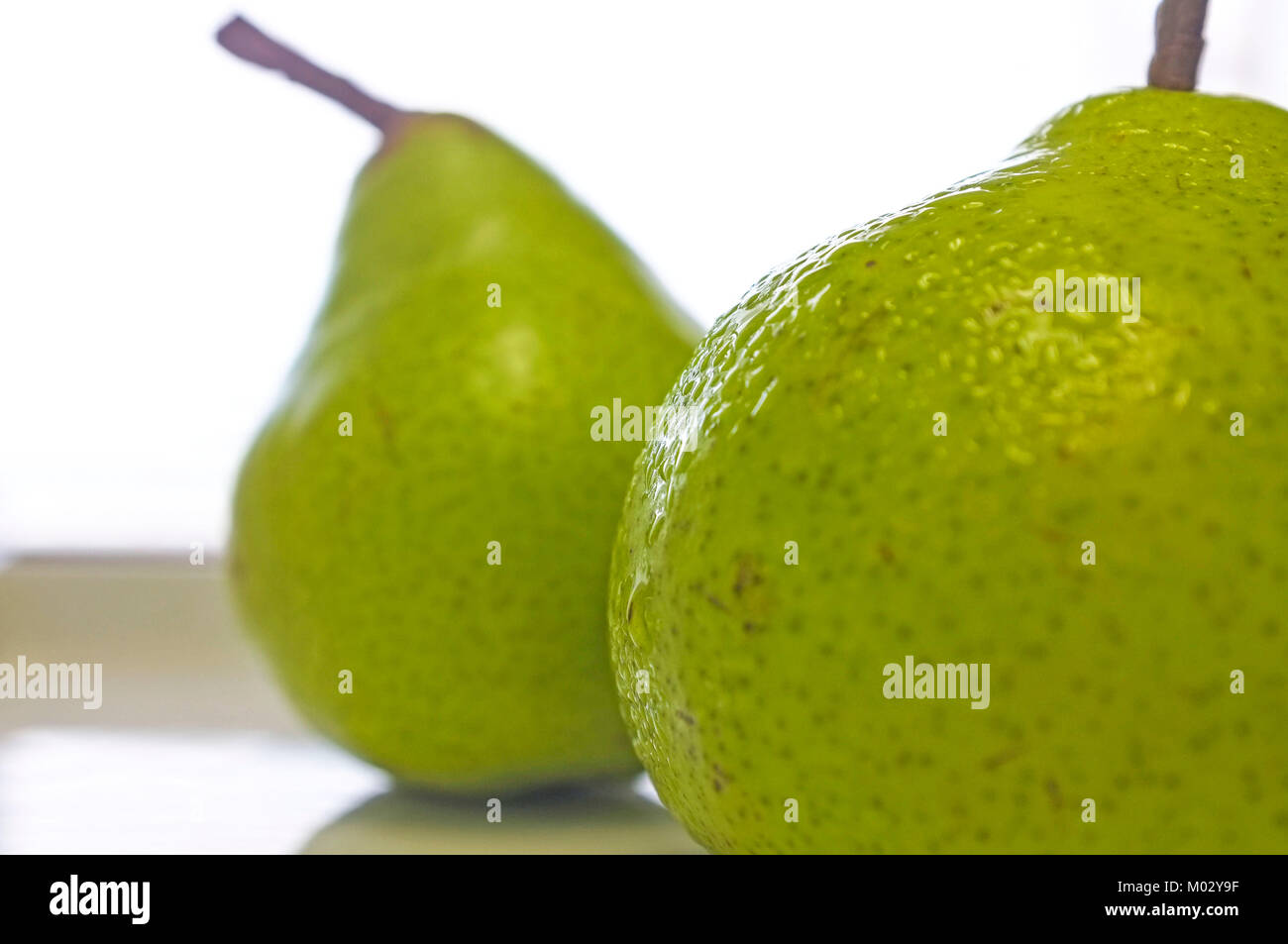 Two pears against a white background. Stock Photo