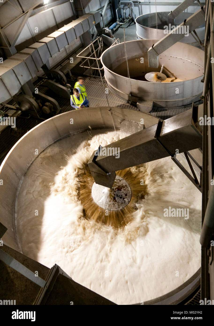 Malting barley Stock Photo