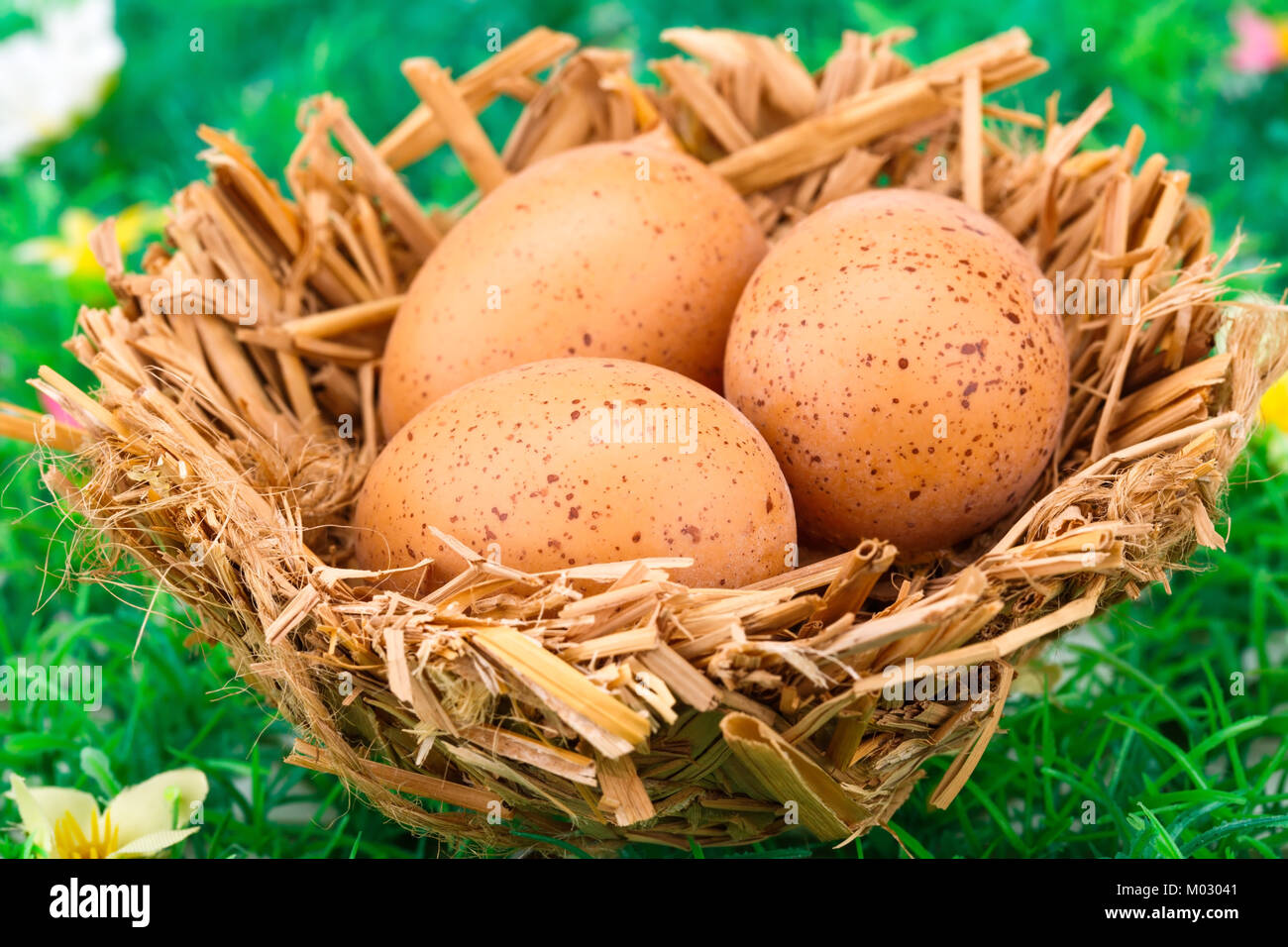 Easter eggs decoration in nest on artificial grass background Stock ...