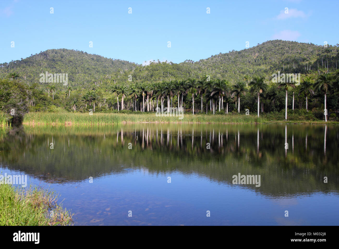 Cuba, famous UNESCO Biosphere Reserve in Sierra del Rosario mountain range - Las Terrazas. Stock Photo