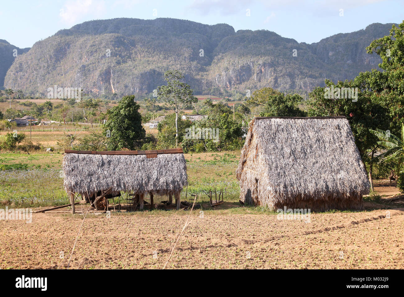 Cuba - countryside thatched huts and karstic mogotes in Vinales National Park. UNESCO World Heritage Site. Stock Photo