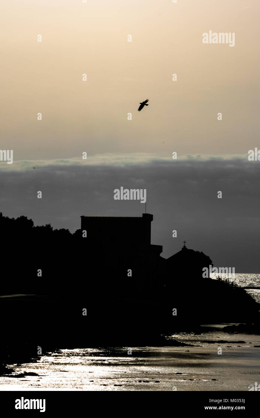 Birds flying over Punta Licosa island in the Cilento region, Italy Stock Photo
