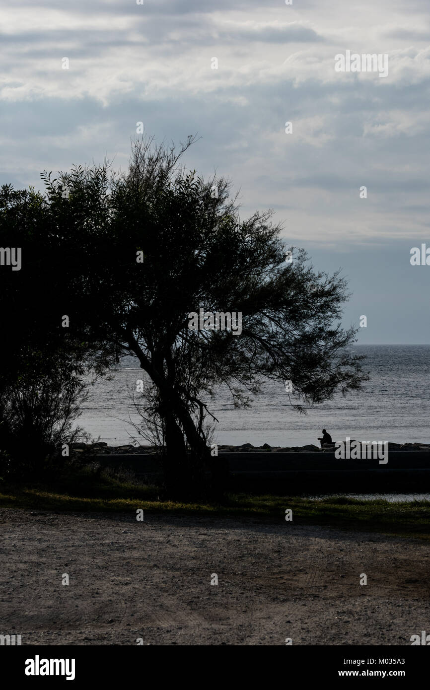 Man under a tree Stock Photo