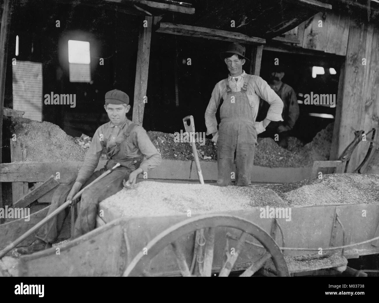 14 year old boy at Heavy Work. Shoveling Ore at Daisy Bell Mine, Aurora, Stock Photo