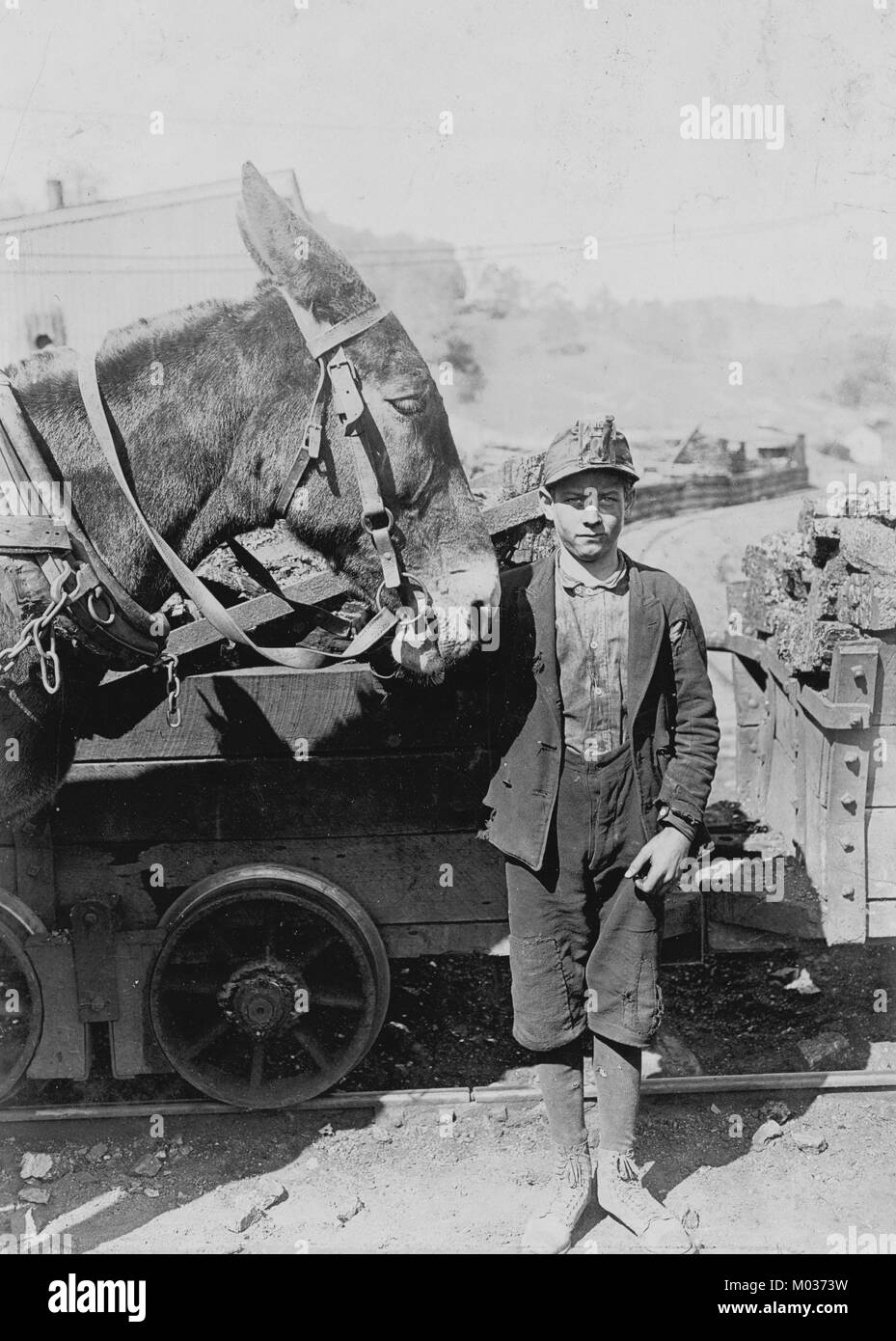 Miner boy with his Mule Stock Photo