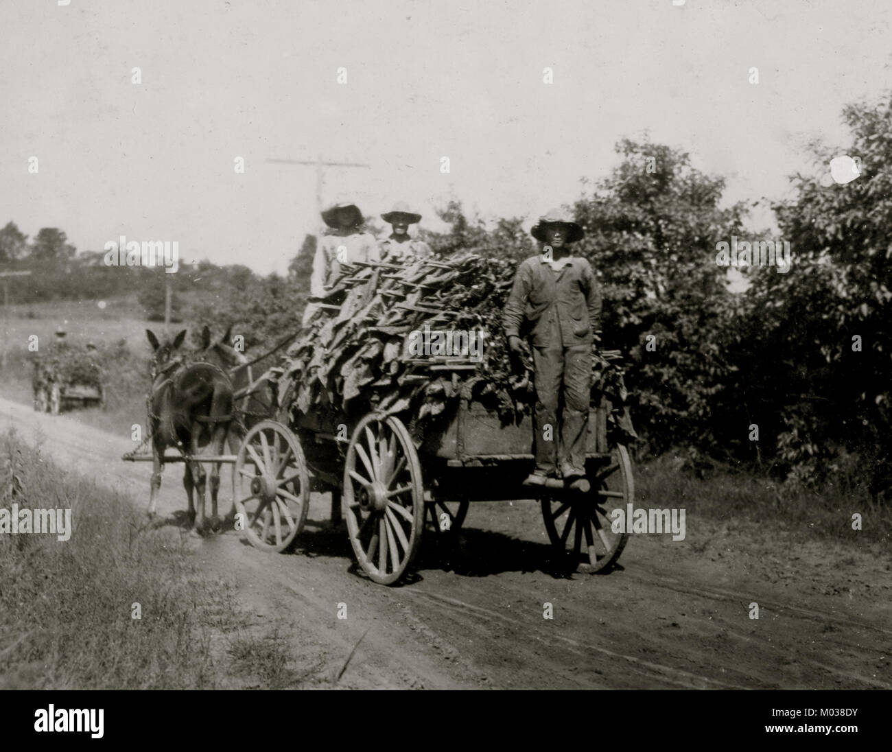 Tobacco wagon hi-res stock photography and images