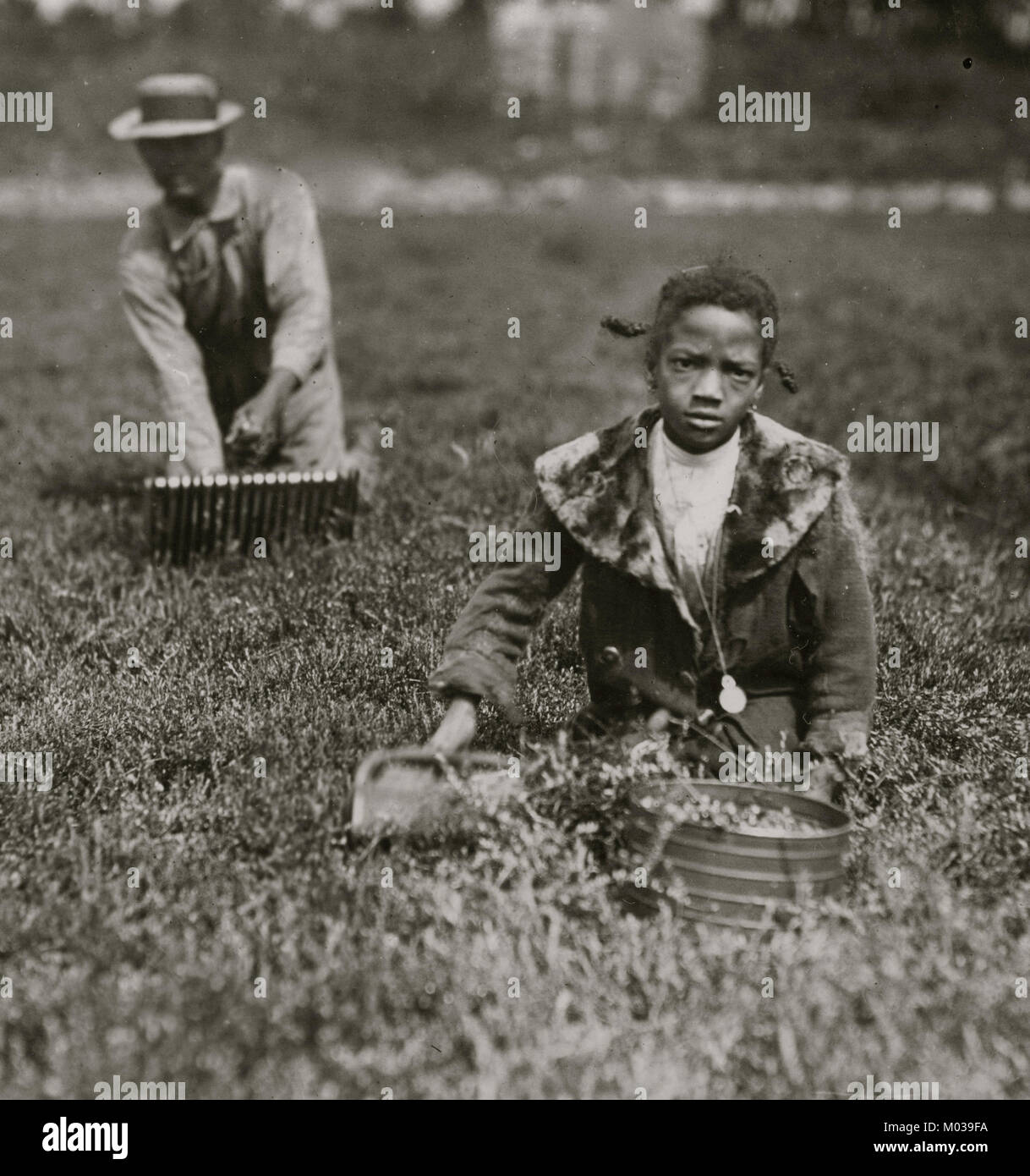 Fanny Breto. Said 9 years old. Was picking with her father on a private bog near Bang's bog. Stock Photo