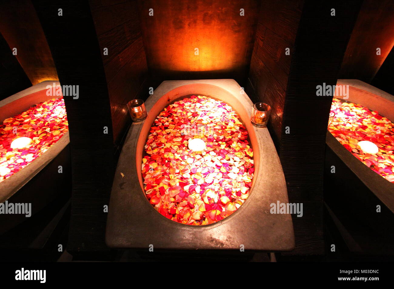 Flower petals bath Stock Photo Alamy