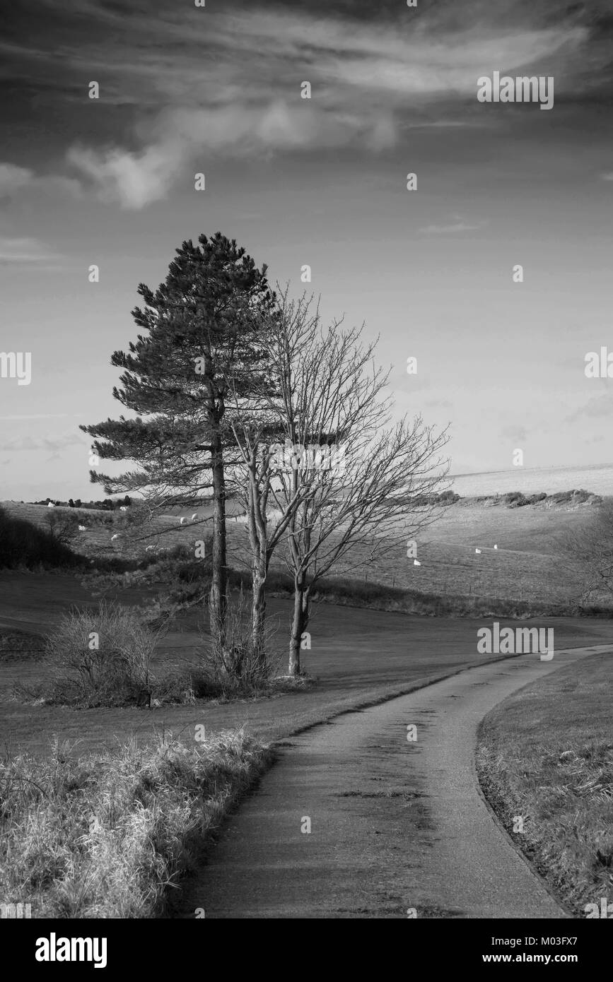 Beautiful black and white landscape image of farm and trees in Winter