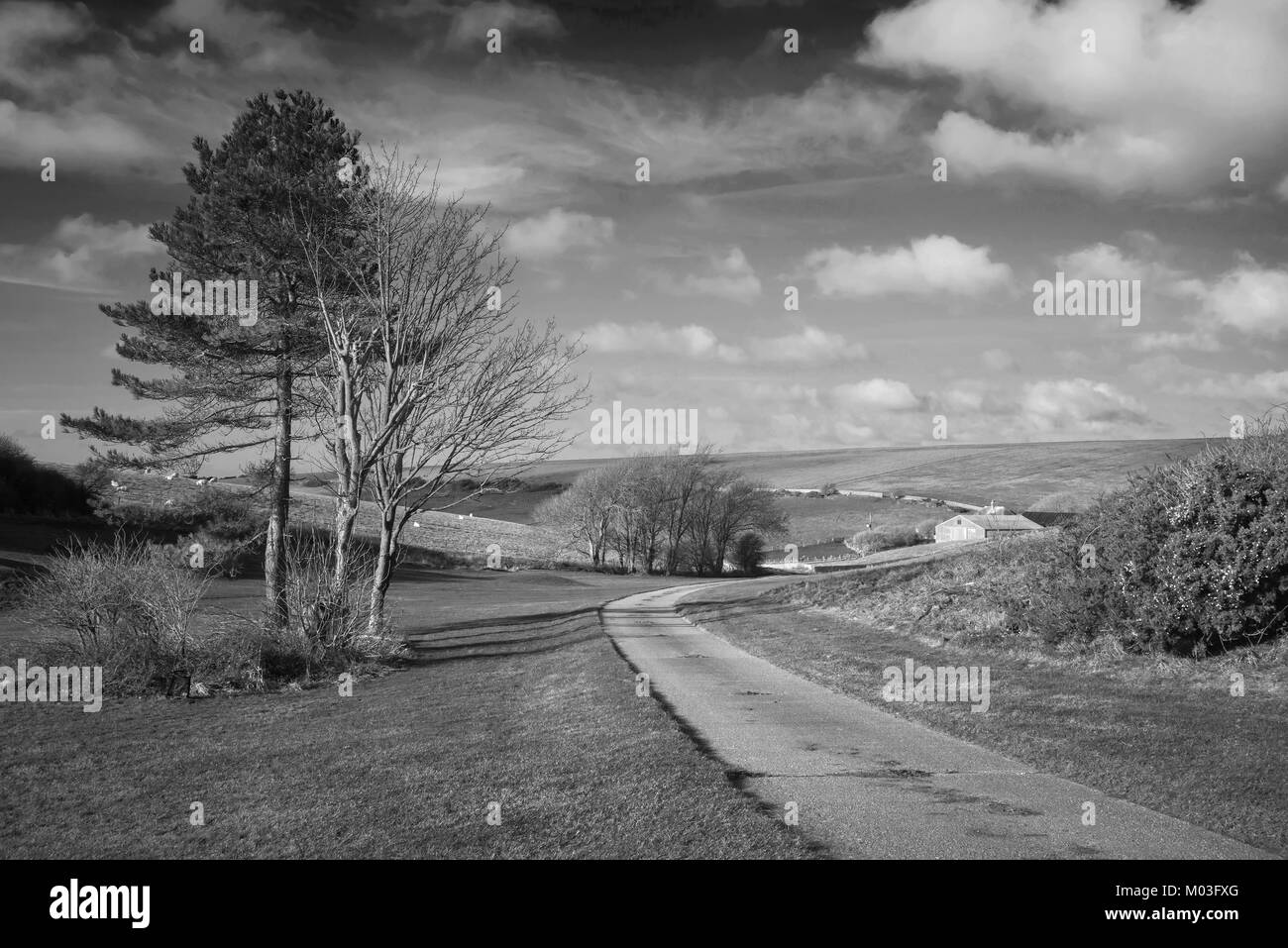 Beautiful black and white landscape image of farm and trees in Winter ...