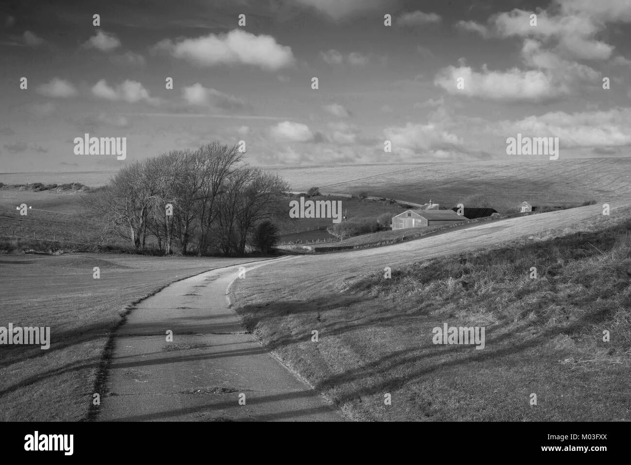Beautiful black and white landscape image of farm and trees in Winter ...
