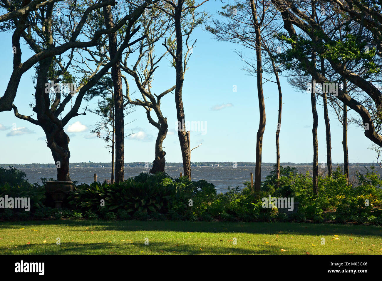 NC01354-00...NORTH CAROLINA - Overlook Terrace with a view of the Albemarle Sound at the Elizabethan Gardens, at popular tourist attraction in Manteo Stock Photo