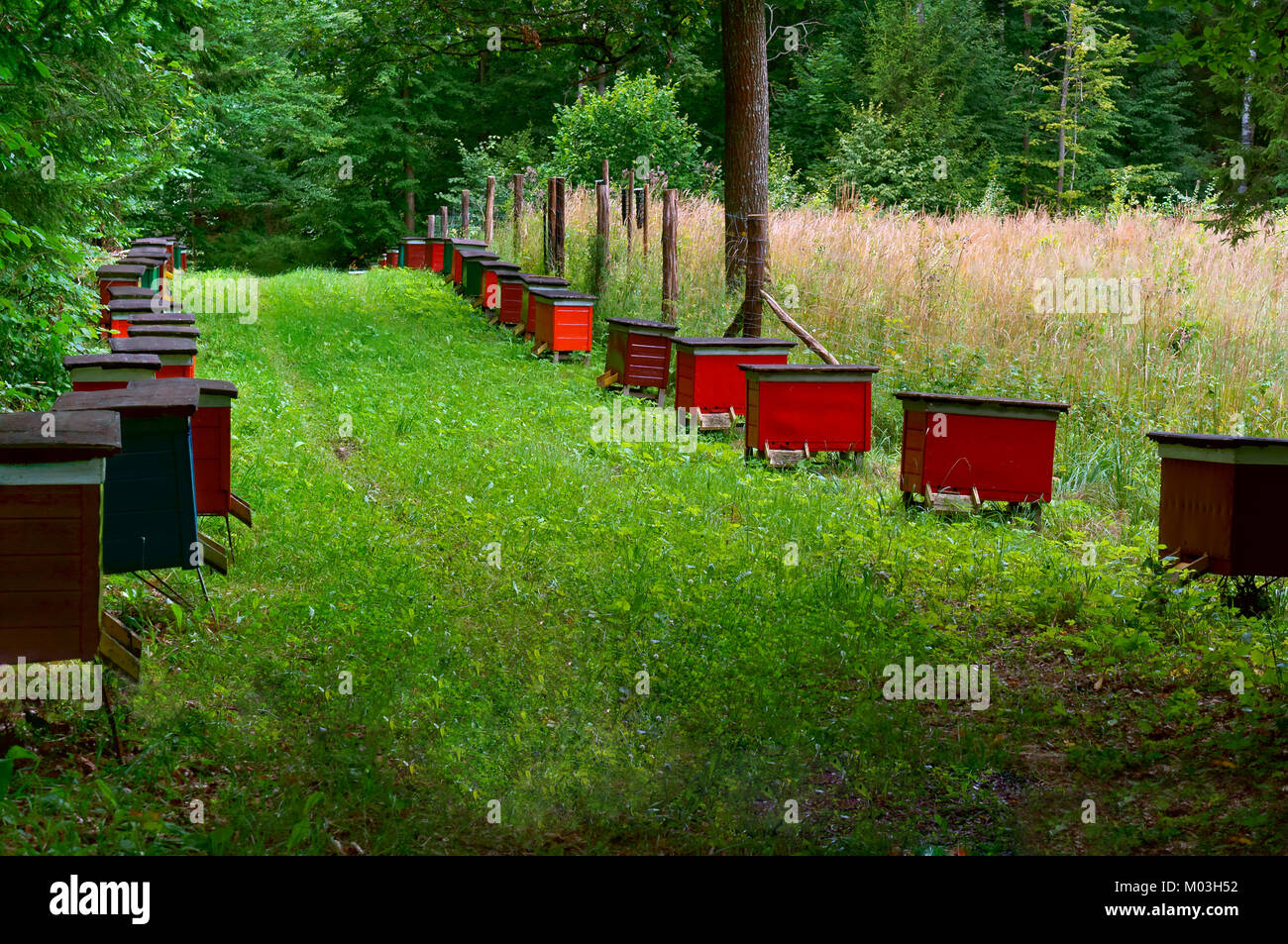 Orchard bee hives hires stock photography and images Alamy