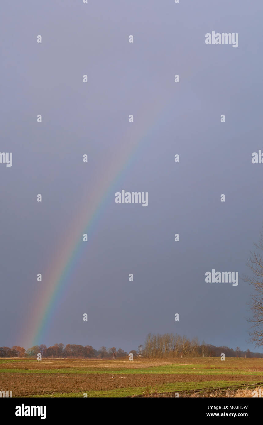 rainbow in a field, the atmosphere is rainbow after the rain Stock ...