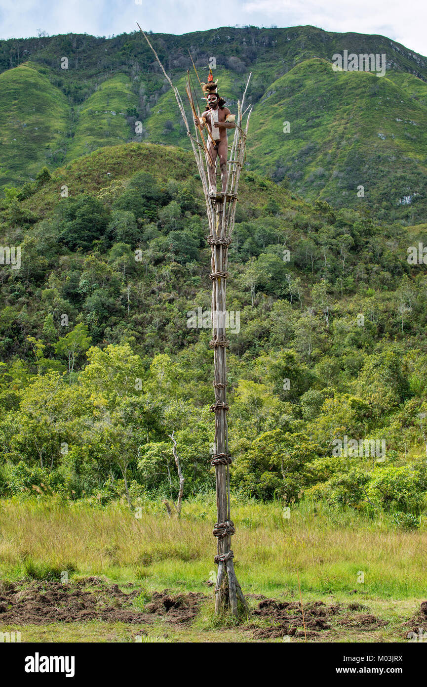 Warrior of Dani tribe on the observation tower. July 2016 Stock Photo