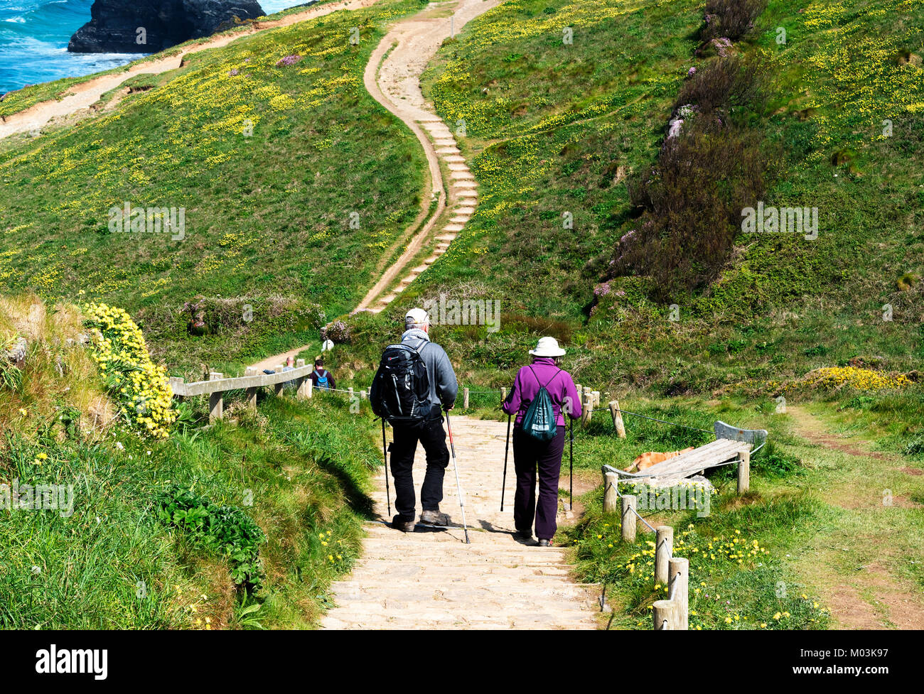 people walking the southwest coast path in cornwall, england, britain, uk. Stock Photo