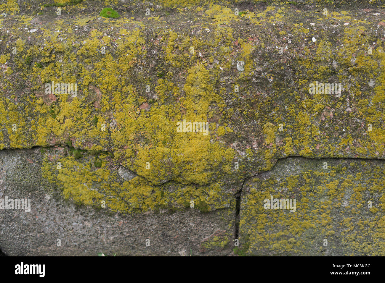 Old stone wall texture background Stock Photo - Alamy
