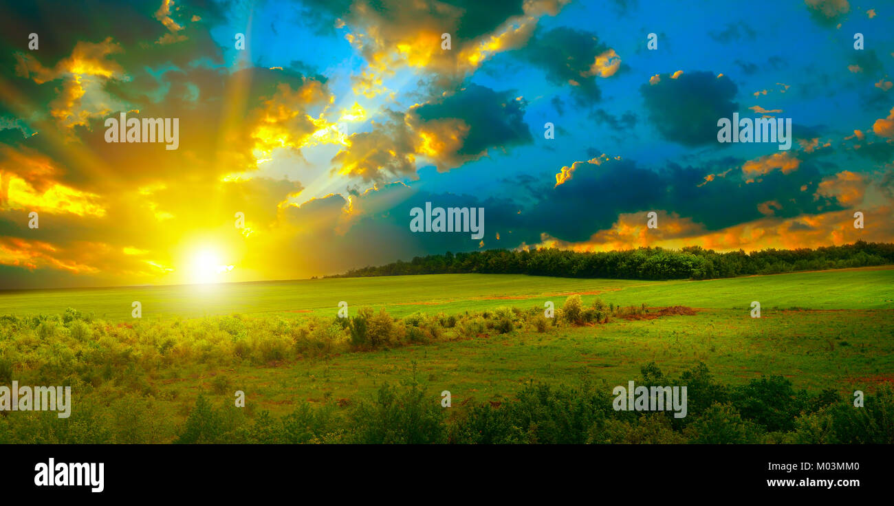 Bright sunset on green spring field and blue sky Stock Photo - Alamy
