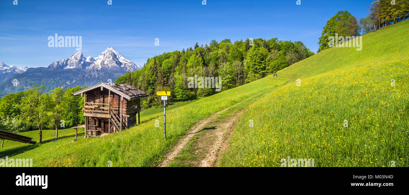 Panoramic view of idyllic mountain landscape in the Alps with hiking trail on fresh green mountain pastures, flowers and old traditional mountain lodg Stock Photo