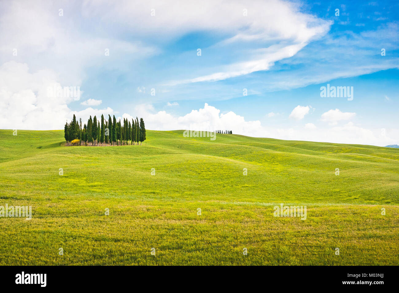 Scenic Tuscany landscape in Val d'Orcia, Italy Stock Photo