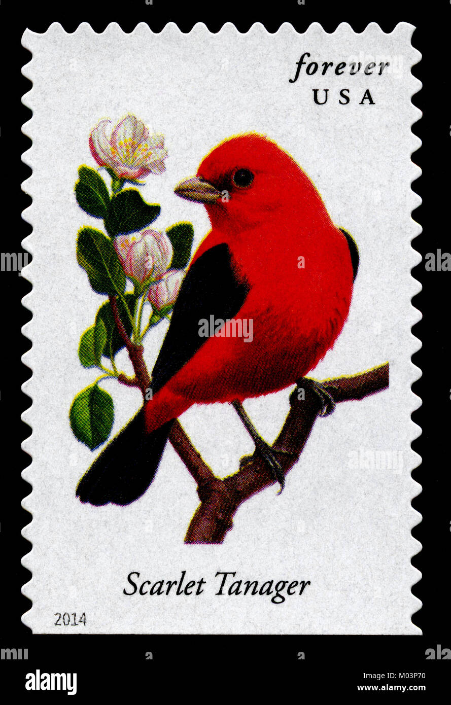 Forever stamp hi-res stock photography and images - Alamy