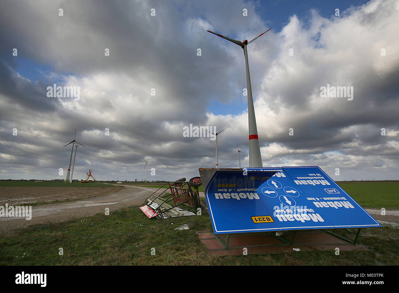 Download Witzig starker wind lustig Free