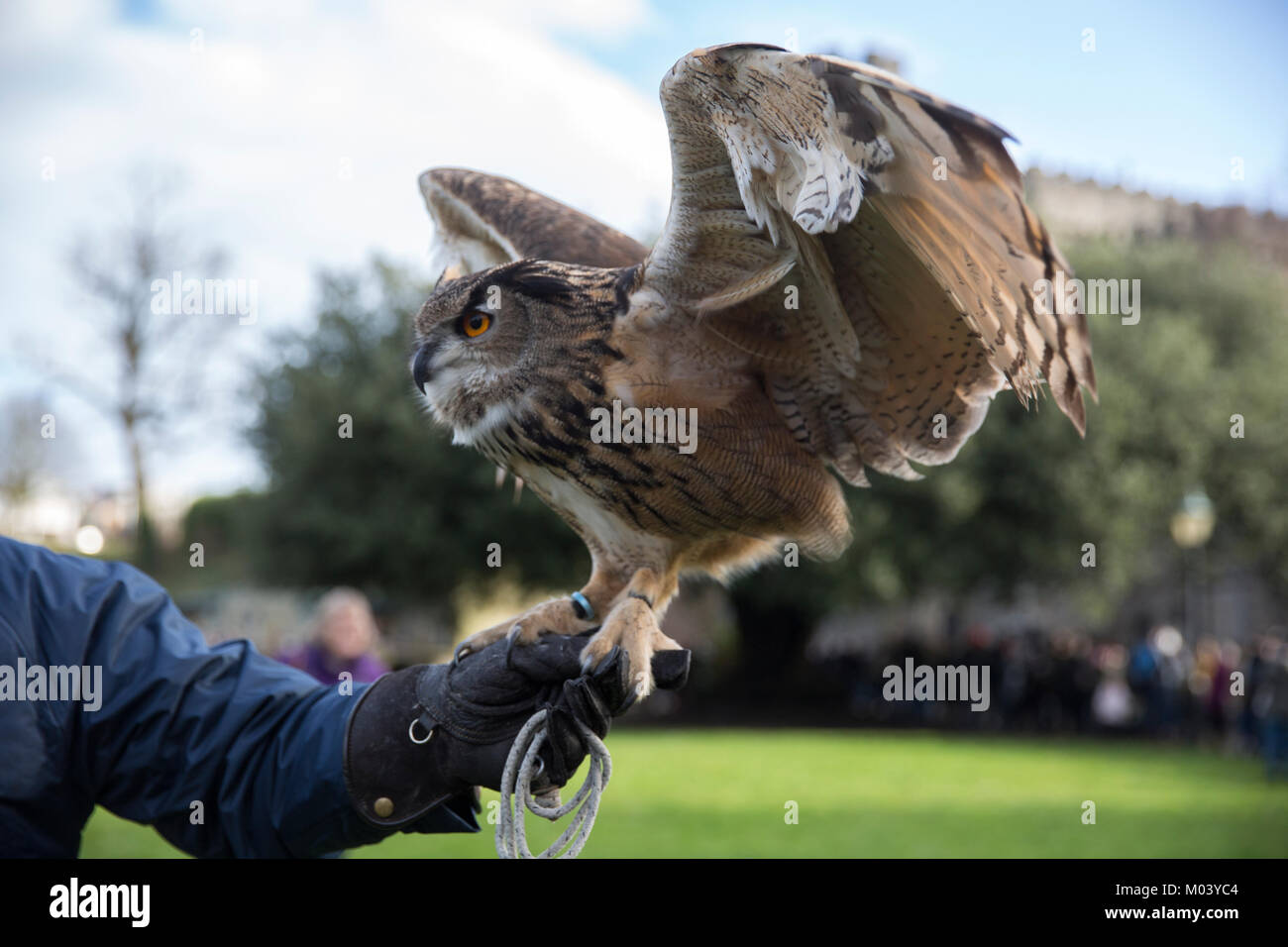 Cardiff, Wales, UK. 18th January 2018. Glen Durham from Falconry services poses with owl Hector whilst the fans wait for Prince Harry and Ms Meghan Markle to arrive at Cardiff Castle ©Sian Reekie Stock Photo