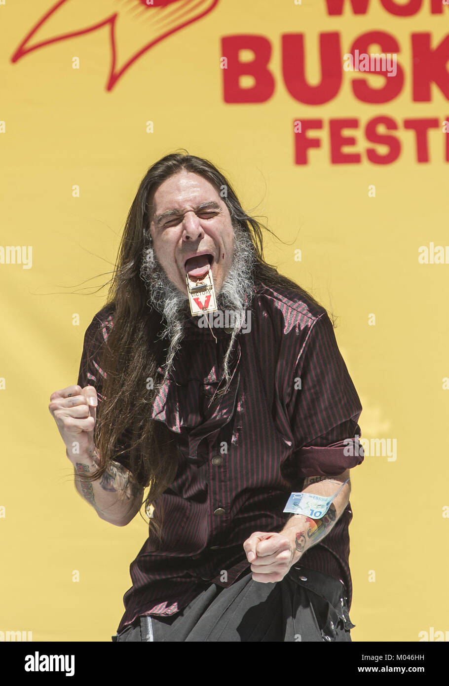 Best mousetrap hires stock photography and images Alamy