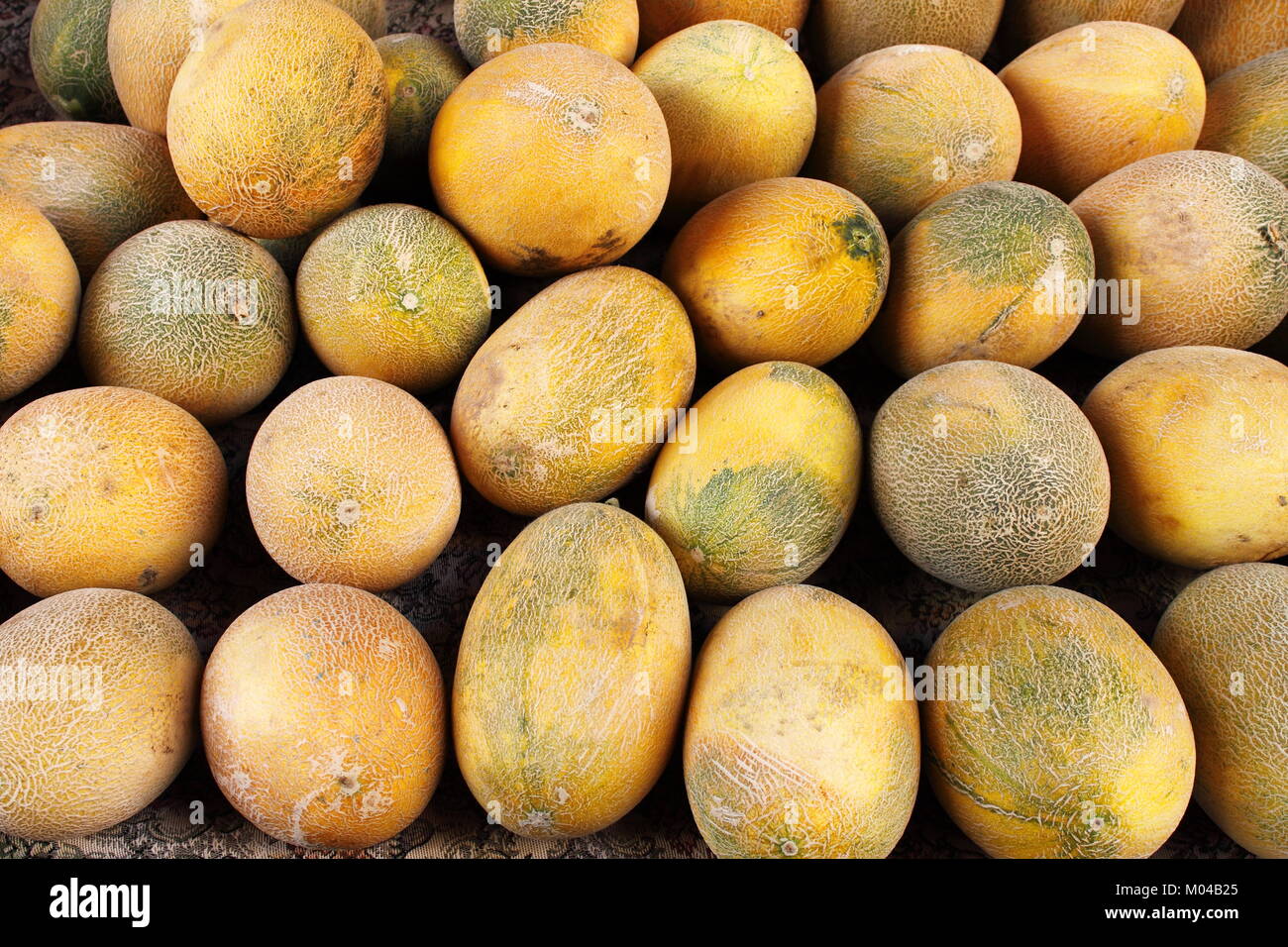 Fresh yellow melons displayed in a greengrocery Stock Photo