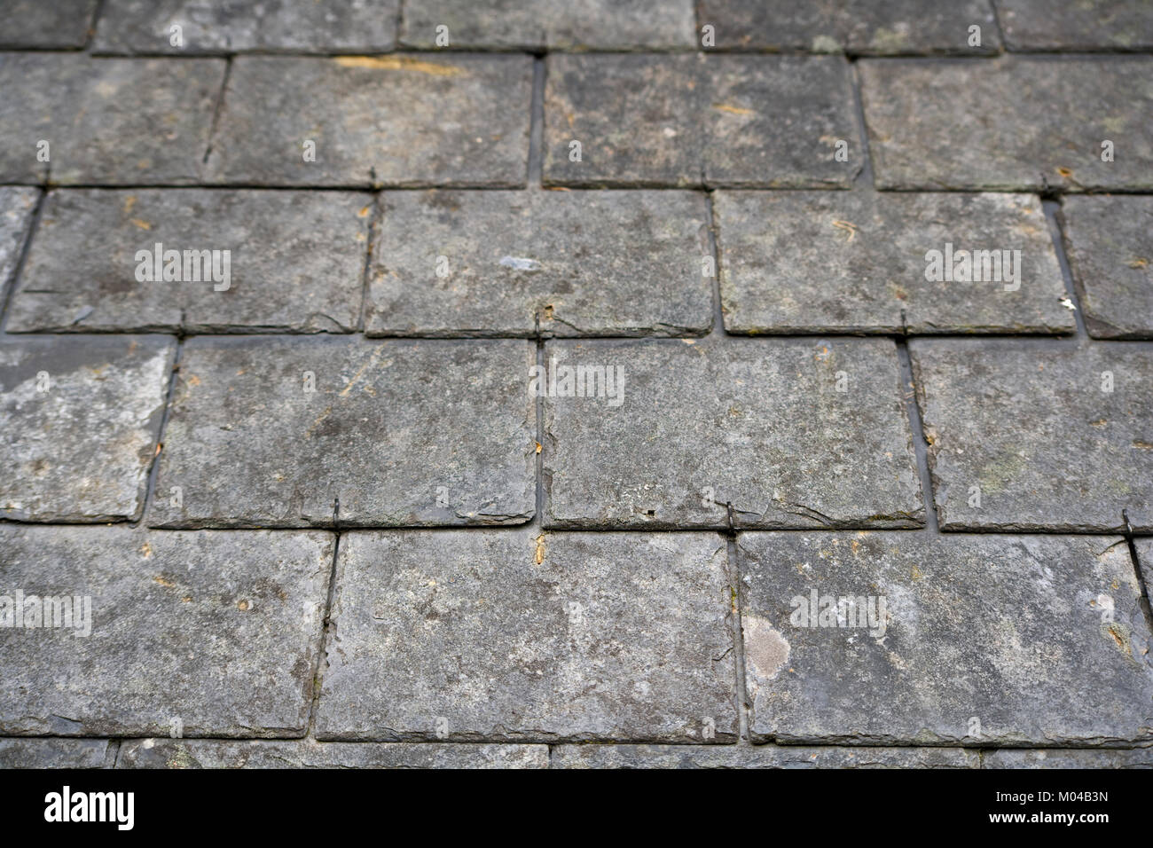 Old weathered roof slate tiles Stock Photo