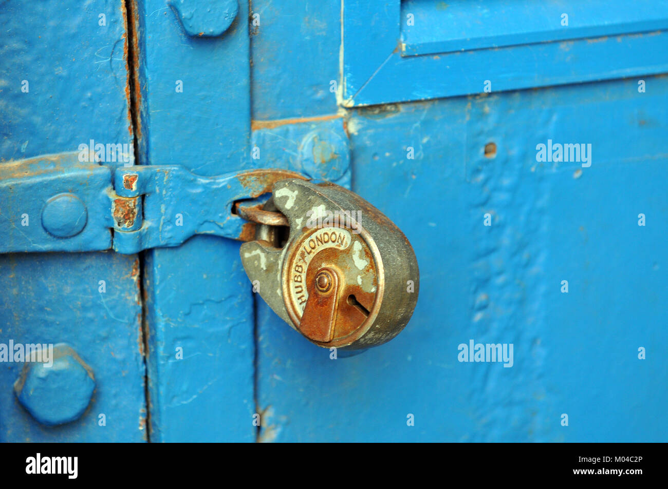 an old rusty padlock on a blue painted door with and iron or steel hasp and staple or locking closing mechanism. old flaking and peeling blue painted. Stock Photo