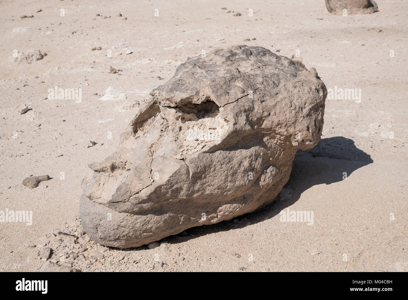 Rock looking like a Monkey head at Rock Garden (Rock Zoo of Duqm or Duqm Stone Park), a famous tourist attraction of a 3 sqkm of rock formations OMAN Stock Photo
