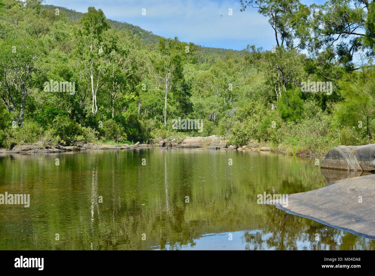 Alligator Creek just down from Cockatoo Creek, Bowling Green Bay