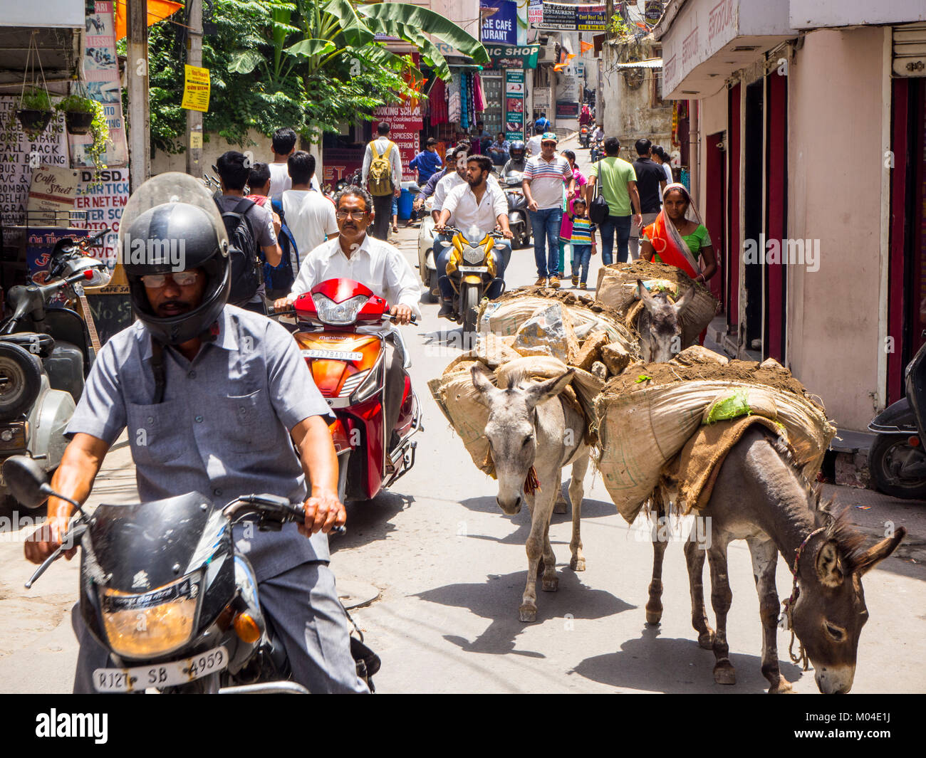 A colorful photograph of everyday life in an Indian city - the transfer of building materials by using donkeys Stock Photo