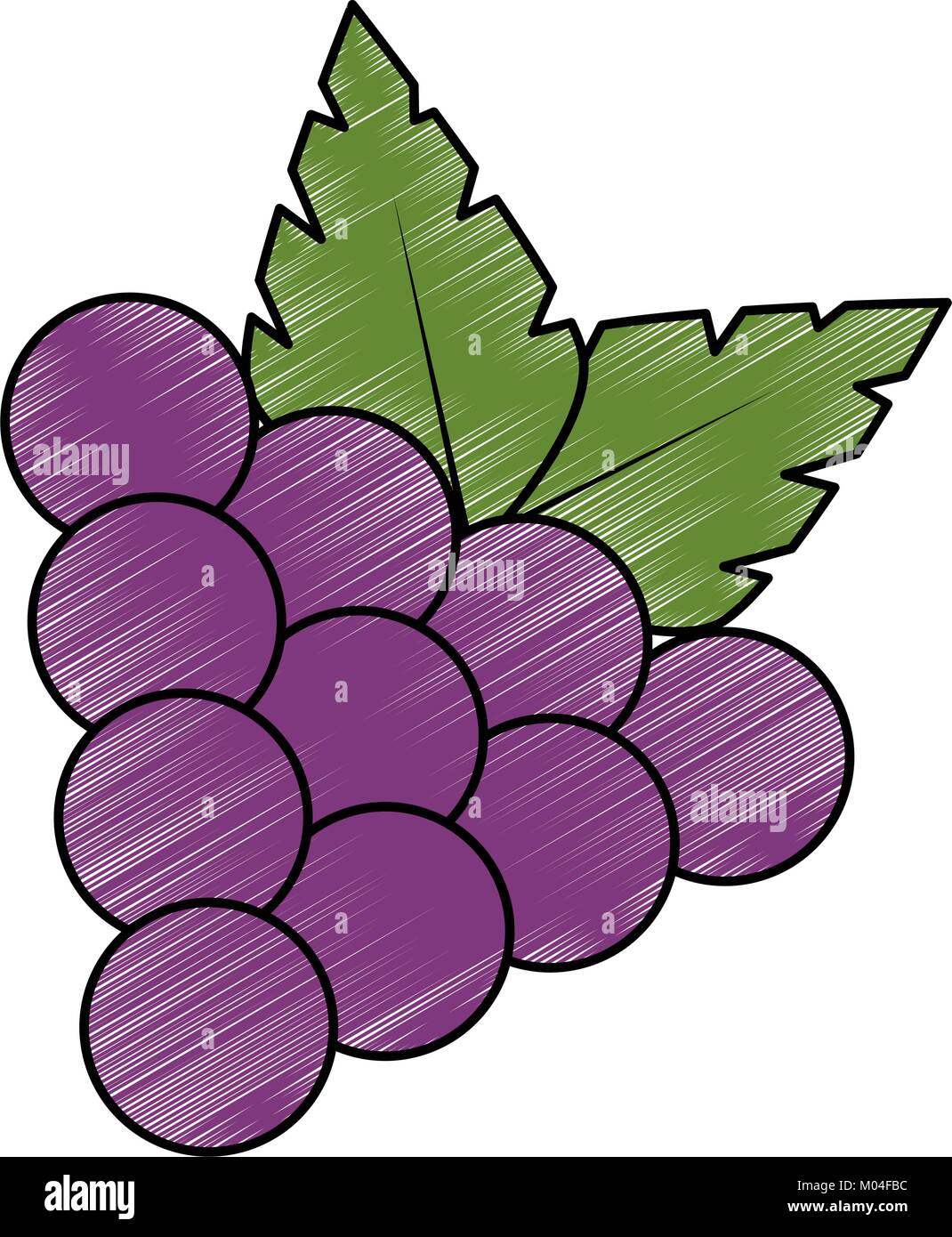 grapes fresh fruit icon vector illustration design Stock Vector Image ...