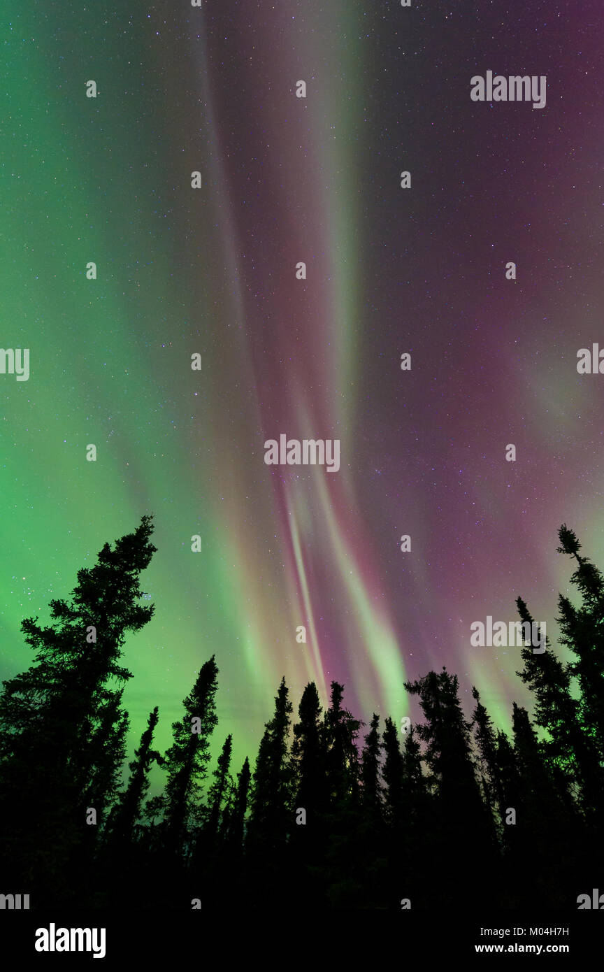 Northern lights, Aurora borealis. Alaska, USA March, 2016,by Dominique Braud/Dembinsky Photo