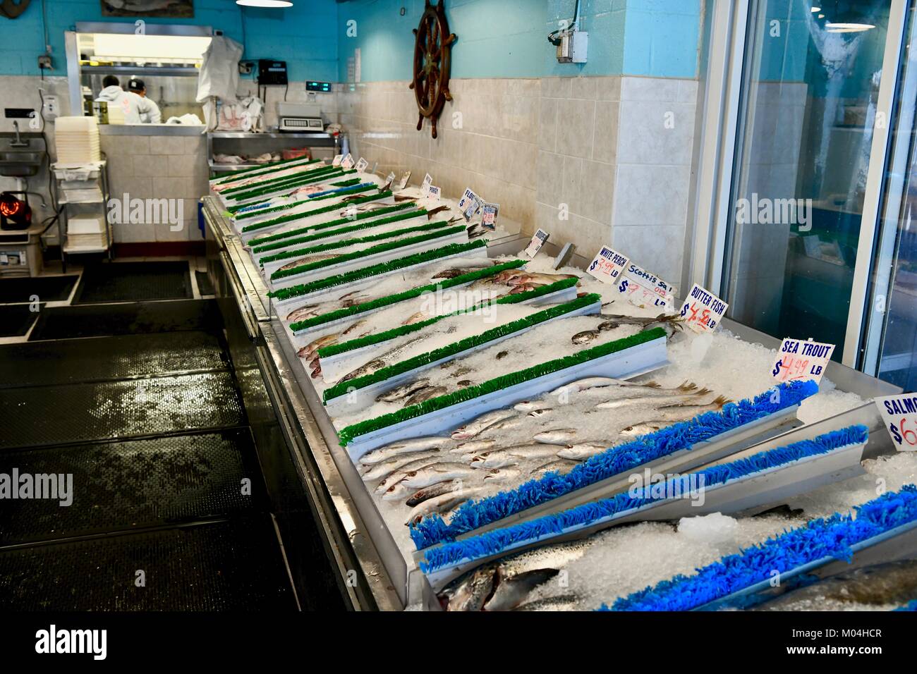 Fresh fish laying on ice at a seafood market, Maryland, USA Stock Photo