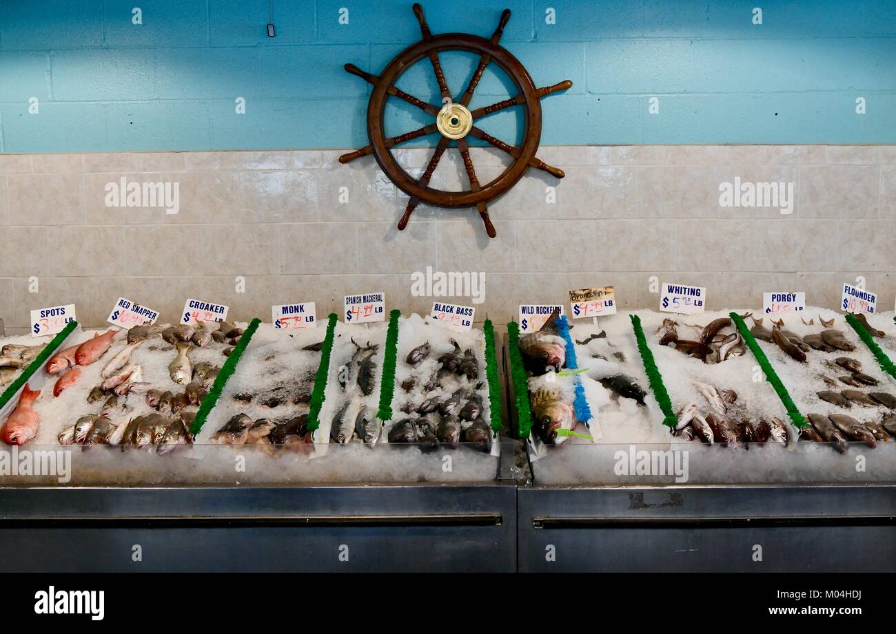 Fresh fish laying on ice at a seafood market, Maryland, USA Stock Photo
