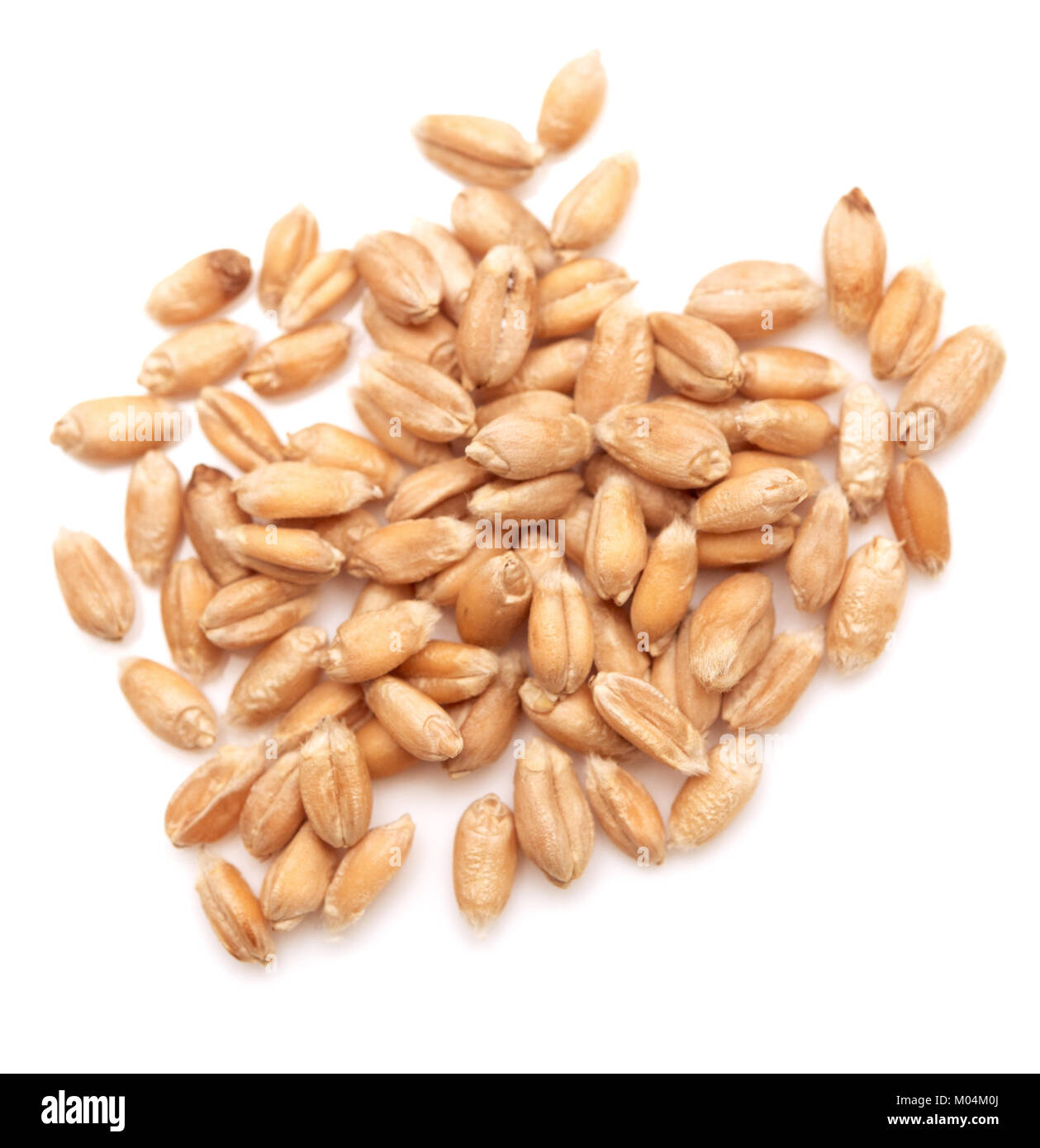 Pile of wheat isolated on white background Stock Photo - Alamy