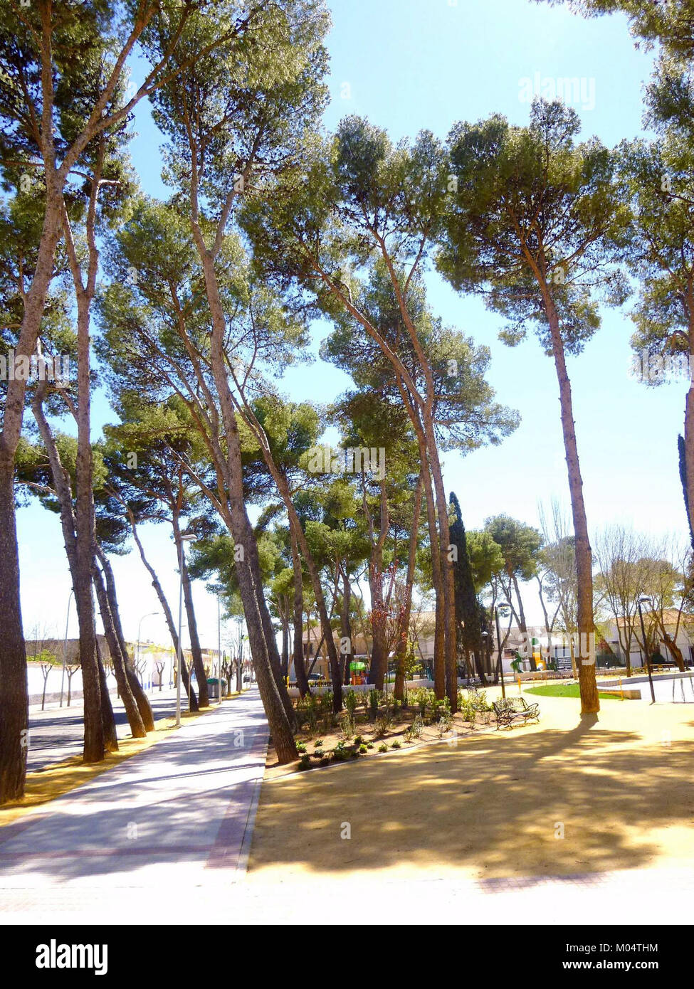 Foto de Parque Luis Cobos en Campo de Criptana, Ciudad Real