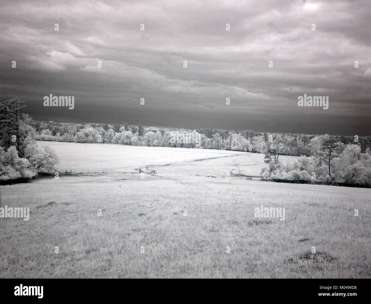 Meadowbank Farm Stock Photo